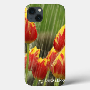 Frühlings-Tulpen Case-Mate iPhone Hülle