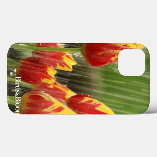 Frühlings-Tulpen Case-Mate iPhone Hülle (Rückseite (Horizontal))