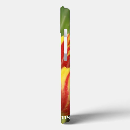 Frühlings-Tulpen Case-Mate iPhone Hülle (Rückseite / Links)