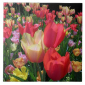 Frühlings-Tulpen Fliese (Vorderseite)