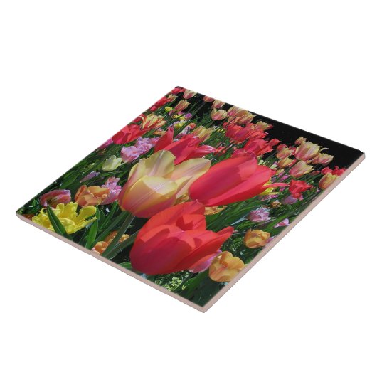 Frühlings-Tulpen Fliese (Seite)