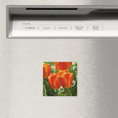Frühlings-Tulpen-Garten Magnet (In Situ (Geschirrspüler))