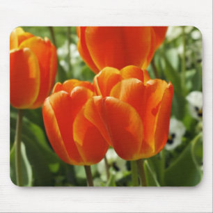 Frühlings-Tulpen-Garten Mousepad