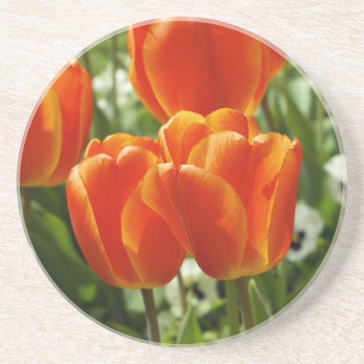 Frühlings-Tulpen-Garten Untersetzer (Vorne)