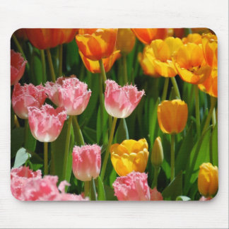 Frühlings-Tulpen Mousepad