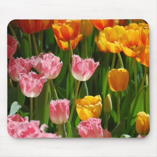 Frühlings-Tulpen Mousepad (Vorne)