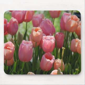 Frühlings-Tulpen Mousepad