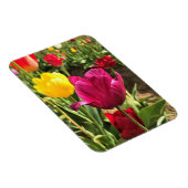 Frühlings-Tulpen, Oregon Magnet (Rechte Seite)