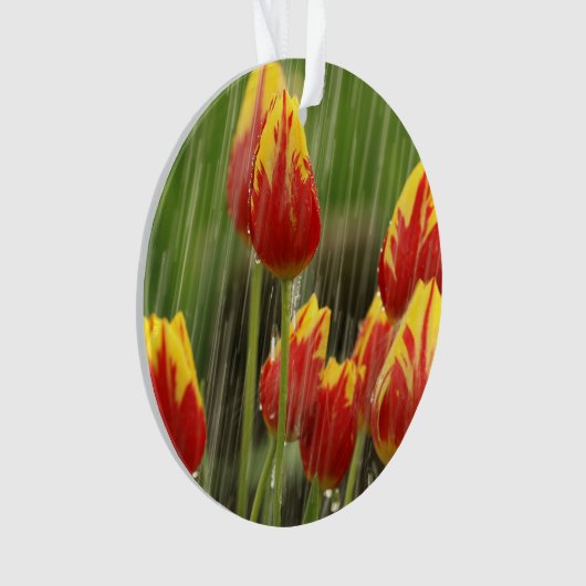 Frühlings-Tulpen Ornament (Vorderseite)
