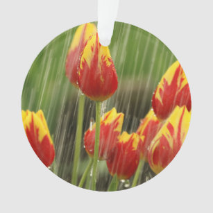 Frühlings-Tulpen Ornament