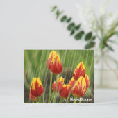 Frühlings-Tulpen Postkarte (Stehend Vorderseite)