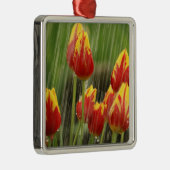 Frühlings-Tulpen Silbernes Ornament (Rechts)