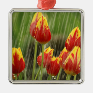 Frühlings-Tulpen Silbernes Ornament