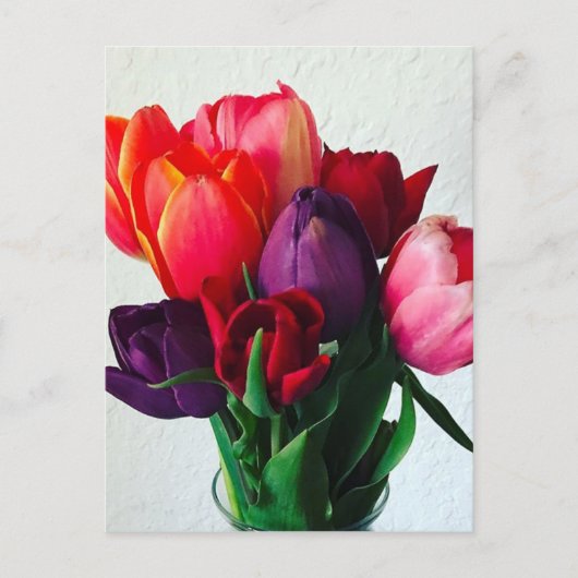 Frühlings-Tulpenstrauß Postkarte (Vorderseite)