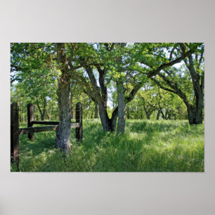 "Frühlings-Wiese " Poster