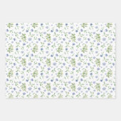 Frühlings-Wildblume Wrapper Geschenkpapier Set (Vorderseite 2)