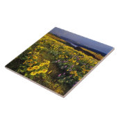 Frühlingsangebote im Überfluss der Wildblumen beim Fliese (Seite)