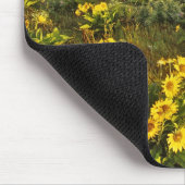 Frühlingsangebote im Überfluss der Wildblumen beim Mousepad (Ecke)