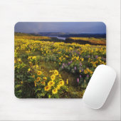 Frühlingsangebote im Überfluss der Wildblumen beim Mousepad (Mit Mouse)