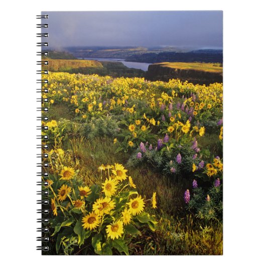 Frühlingsangebote im Überfluss der Wildblumen beim Notizblock (Vorderseite)