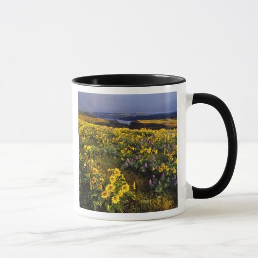 Frühlingsangebote im Überfluss der Wildblumen beim Tasse (Rechts)