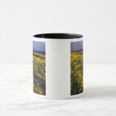 Frühlingsangebote im Überfluss der Wildblumen beim Tasse (Zentrum)