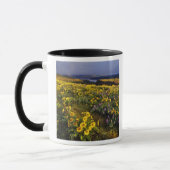 Frühlingsangebote im Überfluss der Wildblumen beim Tasse (Links)