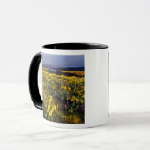 Frühlingsangebote im Überfluss der Wildblumen beim Tasse (Vorderseite Links)