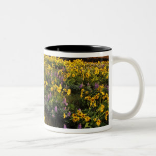 Frühlingsangebote im Überfluss der Wildblumen beim Zweifarbige Tasse