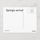 Frühlingsankunft Postkarte (Rückseite)