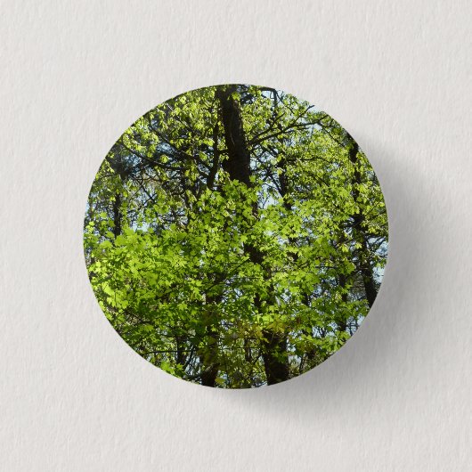 Frühlingsapfel Verlasse Natur Button (Vorderseite)