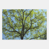 Frühlingsapfel Verlasse Natur Geschenkpapier Set (Vorderseite 3)