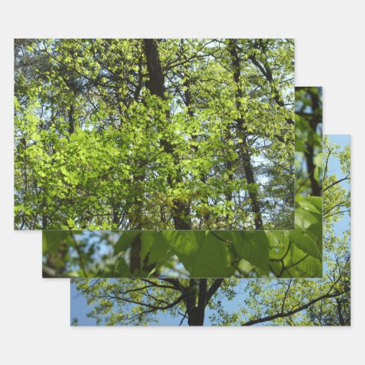 Frühlingsapfel Verlasse Natur Geschenkpapier Set (Set)
