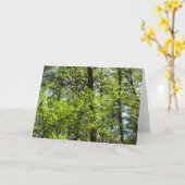 Frühlingsapfel Verlasse Natur Karte (Gelbe Blume)