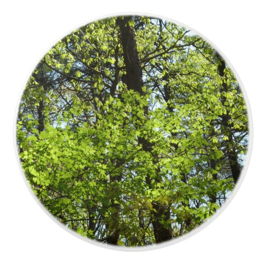 Frühlingsapfel Verlasse Natur Keramikknauf (Vorderseite)