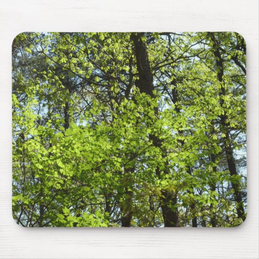 Frühlingsapfel Verlasse Natur Mousepad (Vorne)