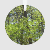 Frühlingsapfel Verlasse Natur Ornament (Rückseite)