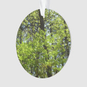 Frühlingsapfel Verlasse Natur Ornament (Vorderseite)