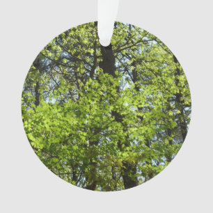 Frühlingsapfel Verlasse Natur Ornament