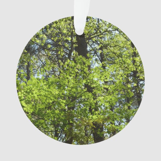 Frühlingsapfel Verlasse Natur Ornament (Vorderseite)