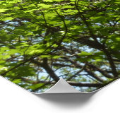 Frühlingsapfel Verlasse Natur Poster (Ecke)