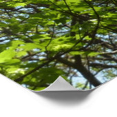 Frühlingsapfel Verlasse Natur Poster (Ecke)