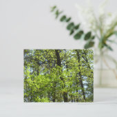Frühlingsapfel Verlasse Natur Postkarte (Stehend Vorderseite)