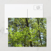 Frühlingsapfel Verlasse Natur Postkarte (Vorne/Hinten)