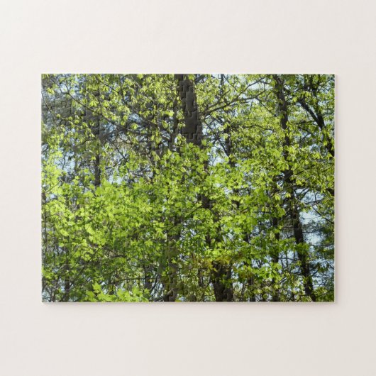 Frühlingsapfel Verlasse Natur Puzzle (Horizontal)