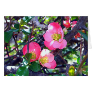 Frühlingsapfelblüten-Grußkarte