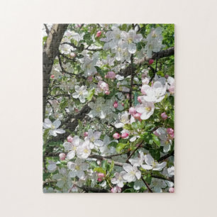 Frühlingsapfelblüten Puzzle
