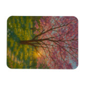 Frühlingsaufwachen - blühende Baumlandschaft Magnet (Horizontal)
