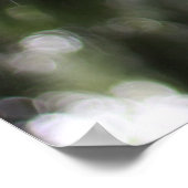 Frühlingsbaum im Regen Poster (Ecke)