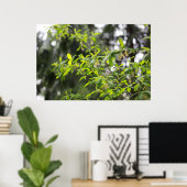 Frühlingsbaum im Regen Poster (Heimbüro)
